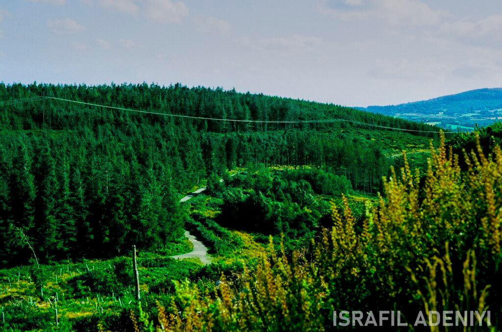 a path through the hills